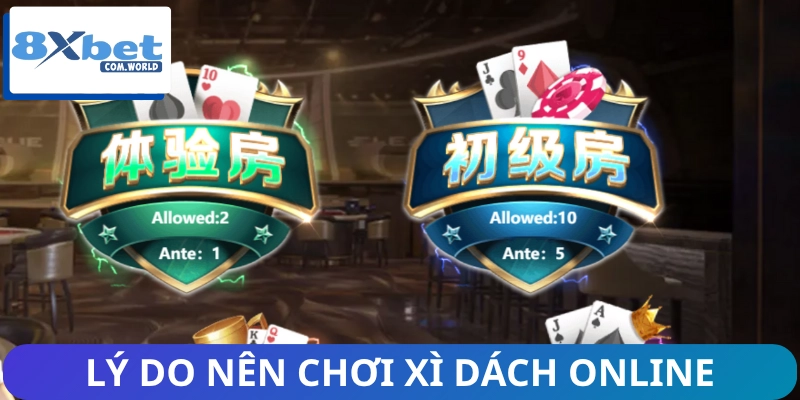 Nguyên nhân nên chơi Xì dách online tại 8XBET