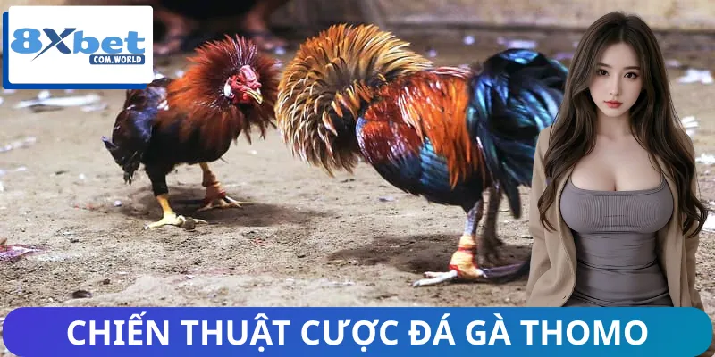 Từng thủ thuật chơi đá gà Thomo