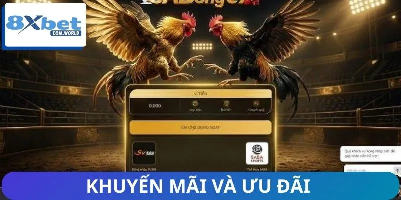 Hệ thống siêu ưu đãi tại nhà cái