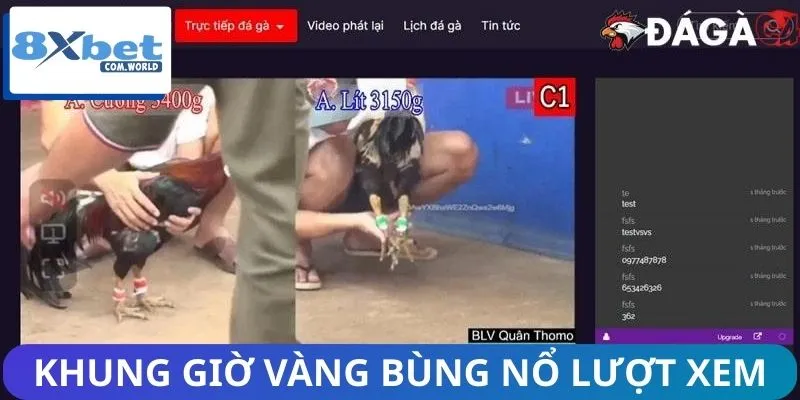 Những khung giờ có lượng người truy cập đông đảo